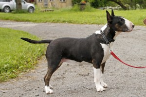 _MG_3764_redigerad-1