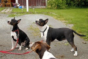 _MG_3773_redigerad-1