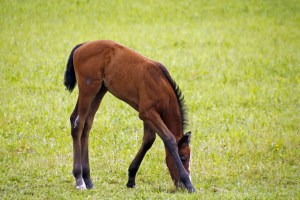 _MG_3826_redigerad-1