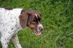 _MG_3856_redigerad-1