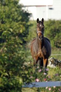 _MG_5804_redigerad-1