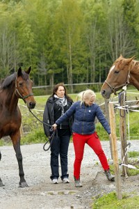 _MG_7036_redigerad-1