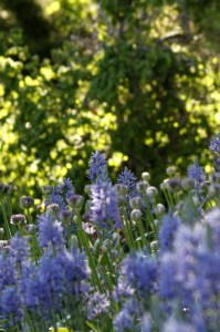 _MG_7045_redigerad-1