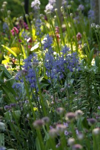 _MG_7050_redigerad-1