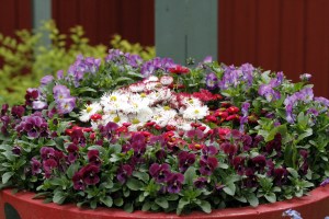 _MG_7208_redigerad-1