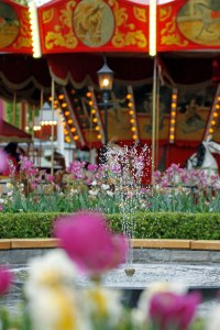 _MG_7239_redigerad-1