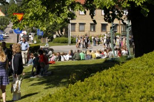 _MG_7917_redigerad-1