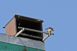 _MG_7065_redigerad-1