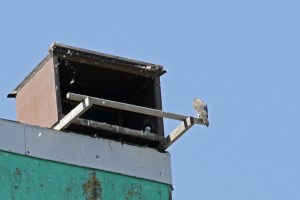 _MG_7263_redigerad-1