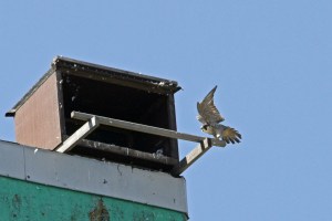 _MG_7343_redigerad-1