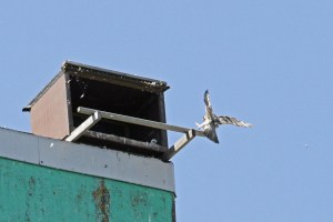 _MG_7357_redigerad-1